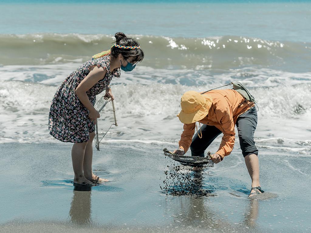 到水璉體驗抓浪花蟹