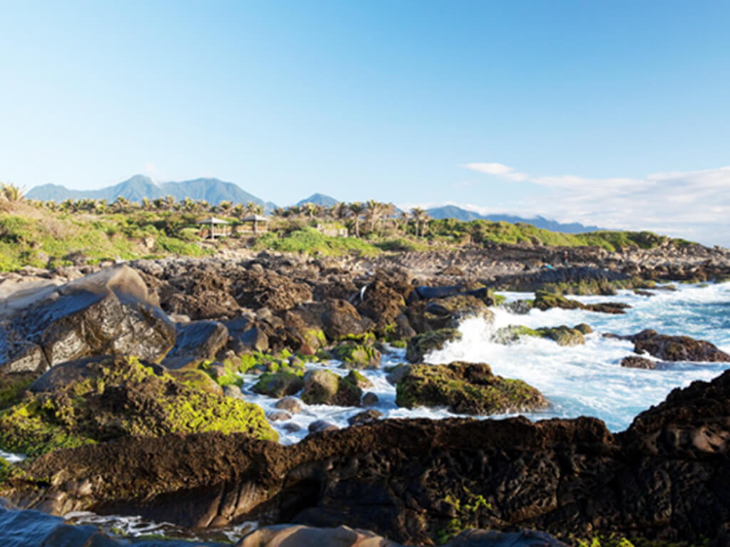 Coral Reef Coast Landforms